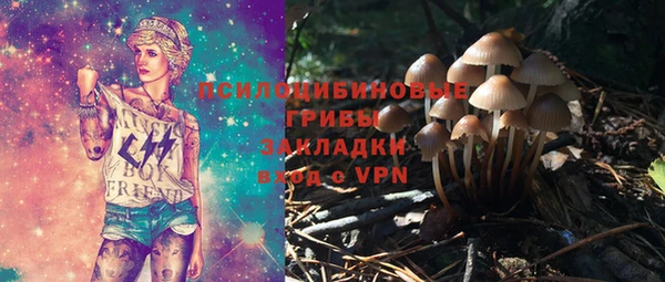 ПСИЛОЦИБИНОВЫЕ ГРИБЫ Аркадак